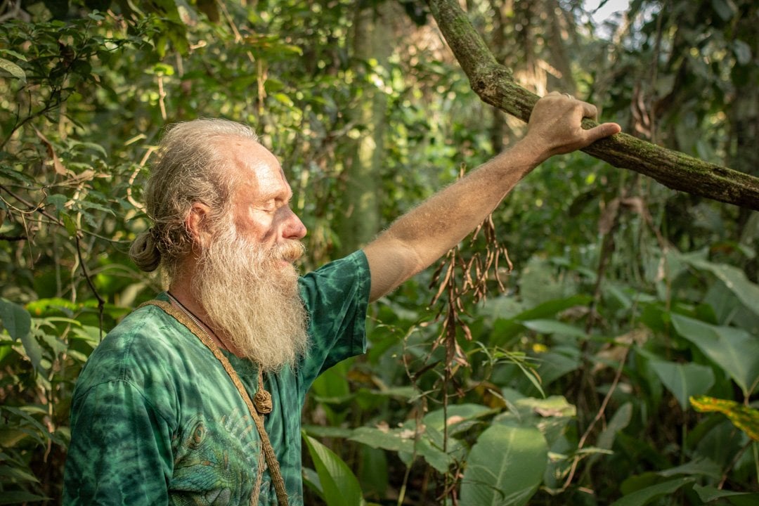 Cérémonie d’Ayahuasca