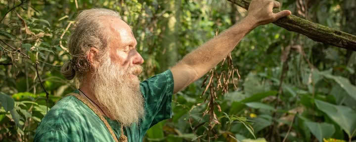 Cérémonie d’Ayahuasca