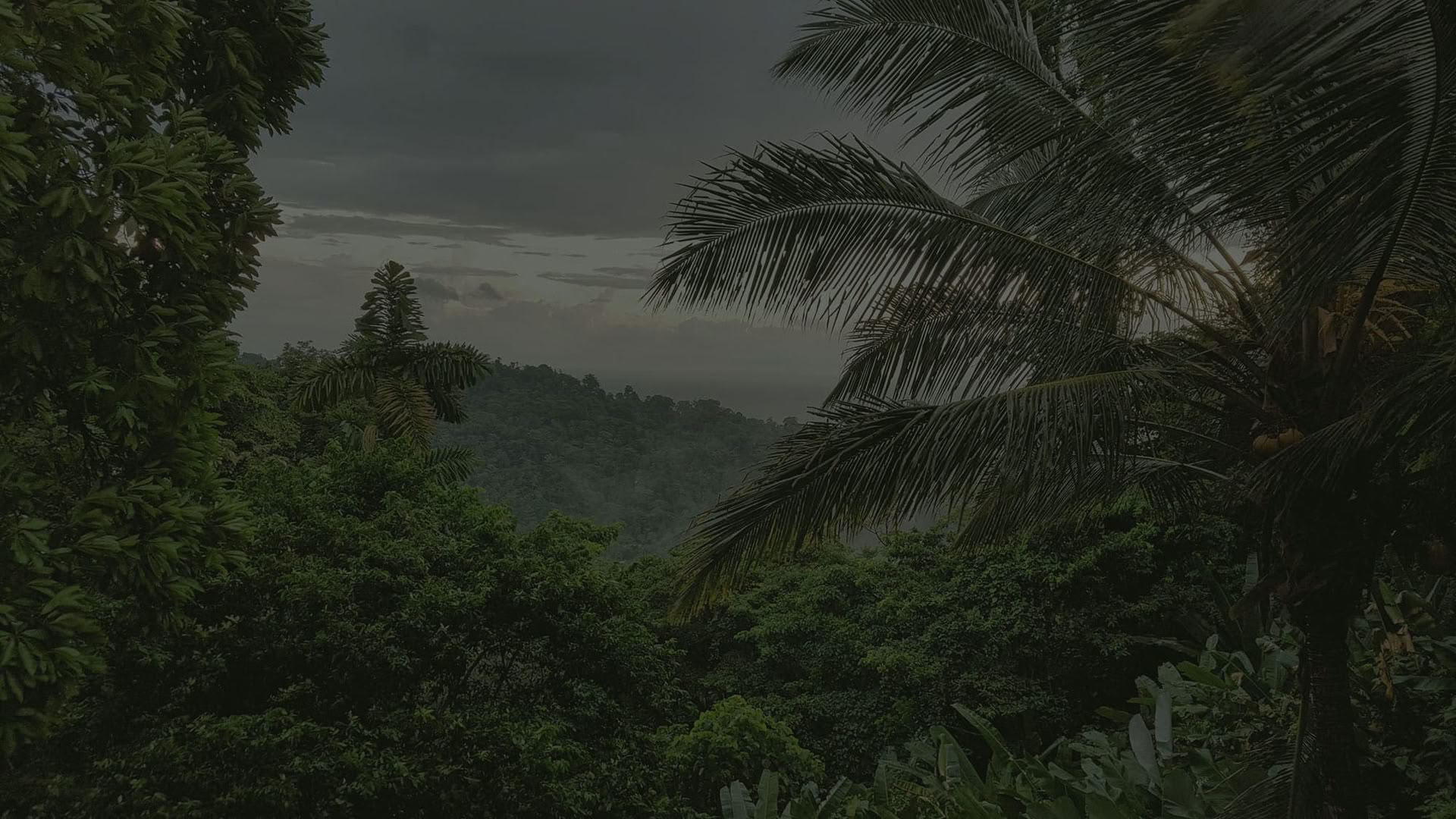 Forfait Amoureux des Caraïbes