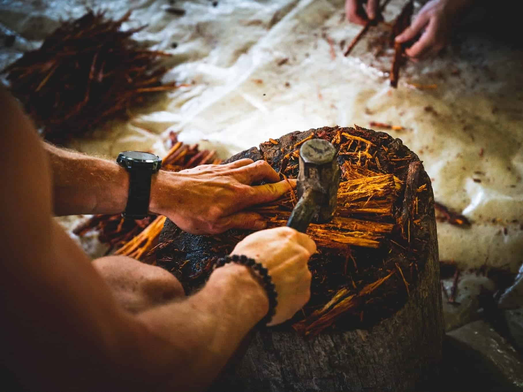 Retraite d'Ayahuasca de 5 jours en Équateur