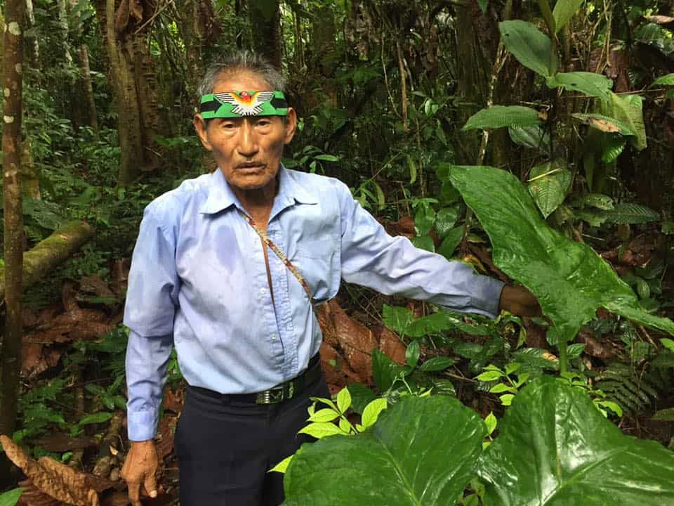 Retraite d'Ayahuasca de 5 jours en Équateur