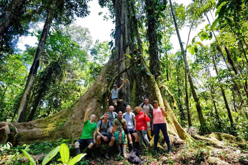 Retraite d'Ayahuasca de 5 jours en Équateur