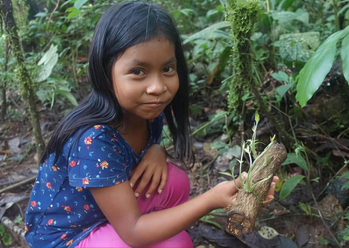 Retraite d'Ayahuasca de 5 jours en Équateur
