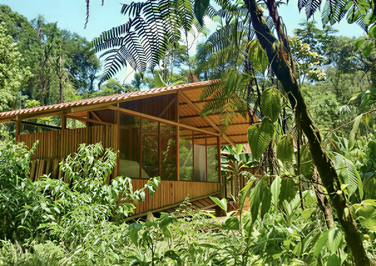 Retraite d'Ayahuasca de 5 jours en Équateur