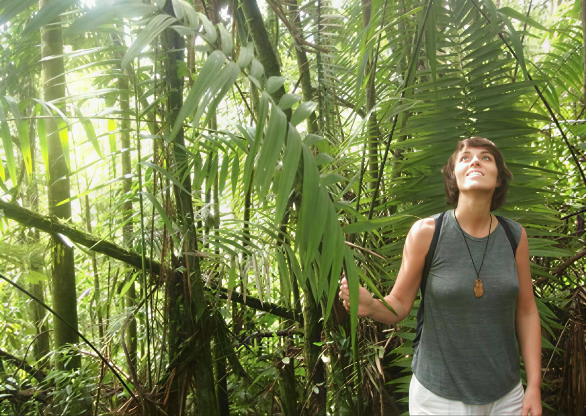 Retraite d'Ayahuasca de 5 jours en Équateur