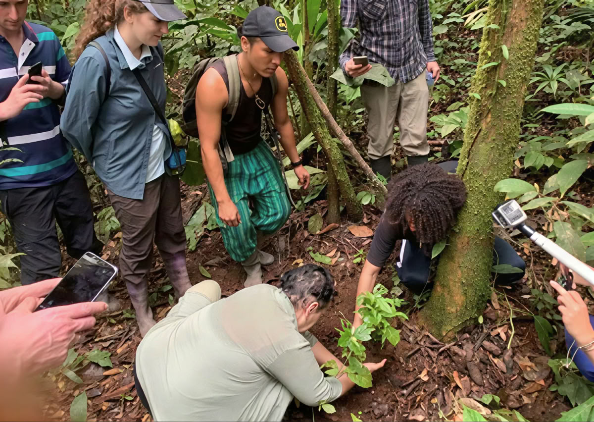 Retraite d'Ayahuasca de 5 jours en Équateur