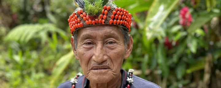 Retraite d'Ayahuasca de 5 jours en Équateur