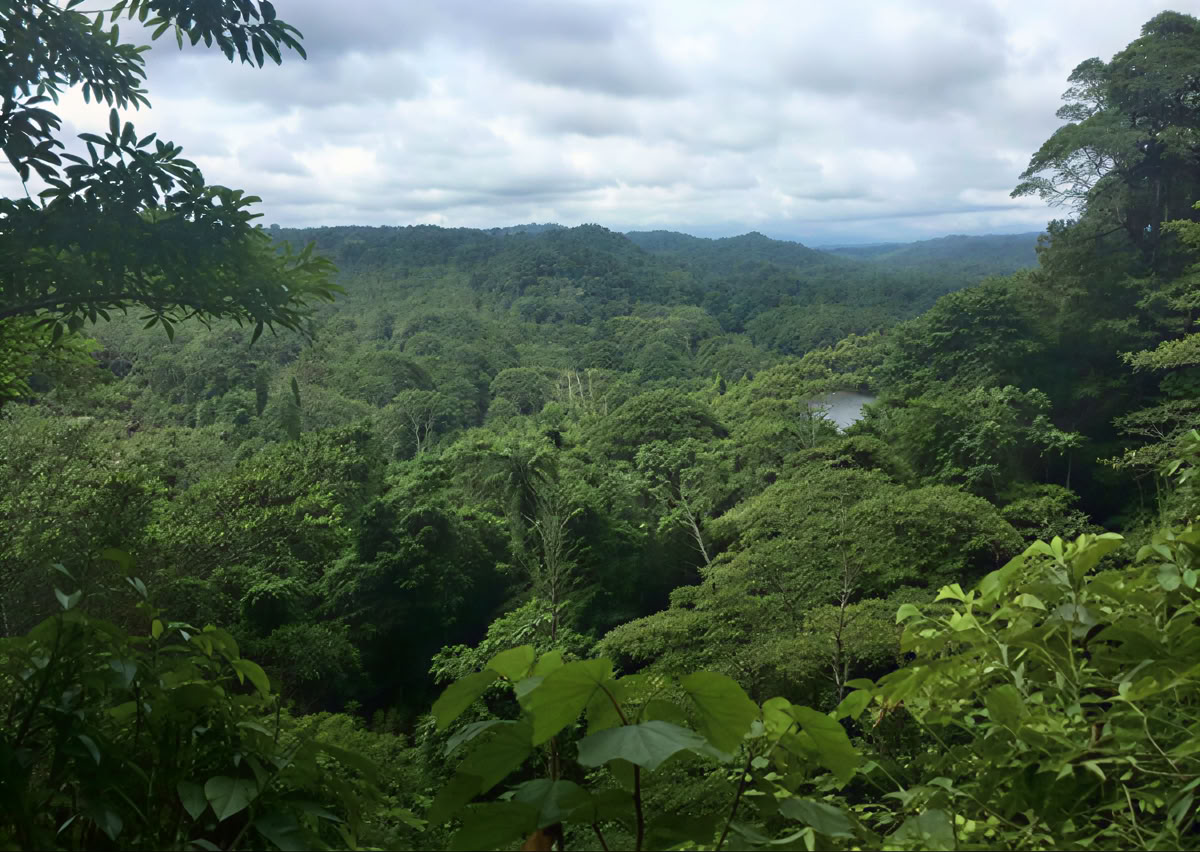 Cérémonie d’Ayahuasca en Équateur