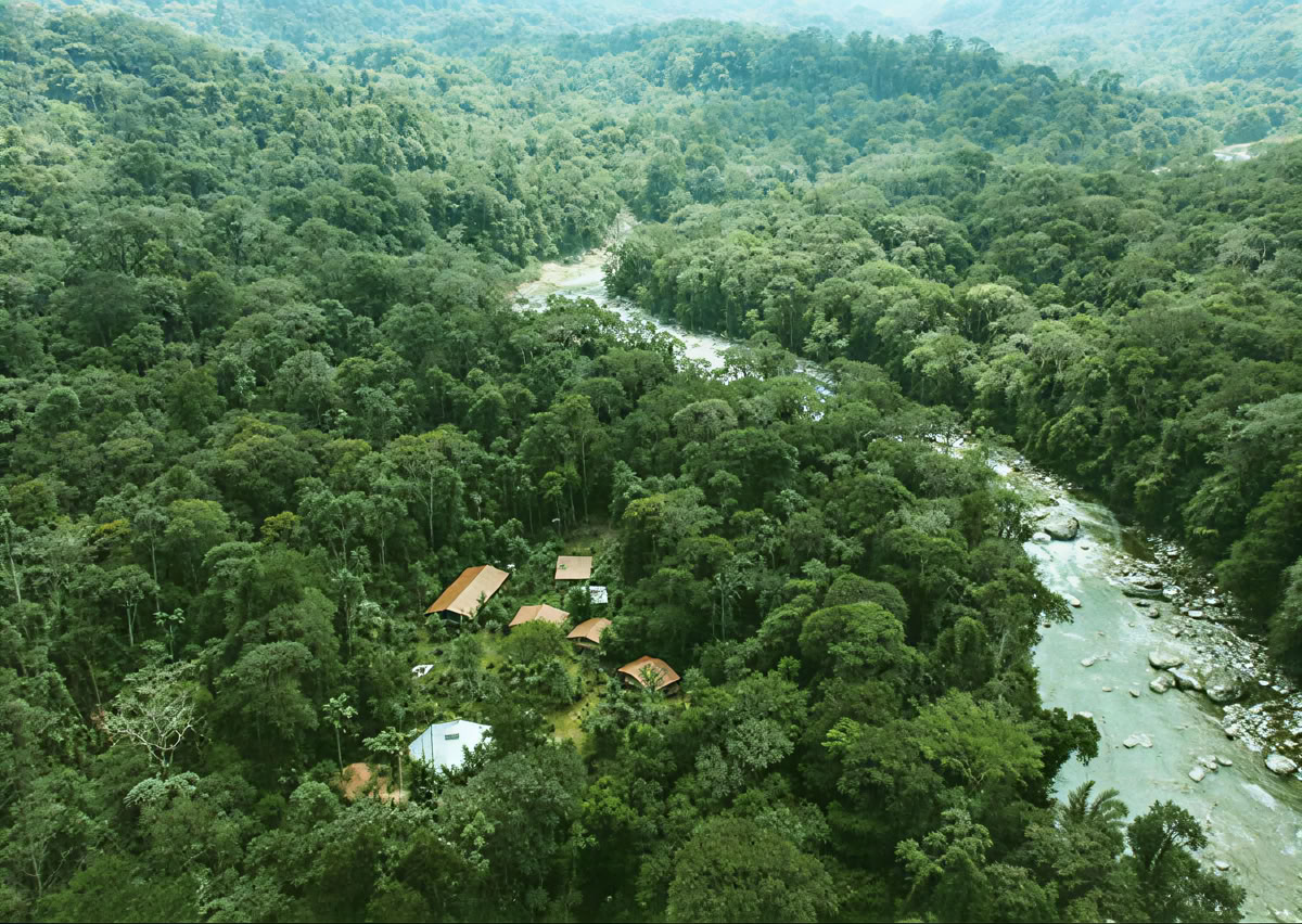 Cérémonie d’Ayahuasca en Équateur