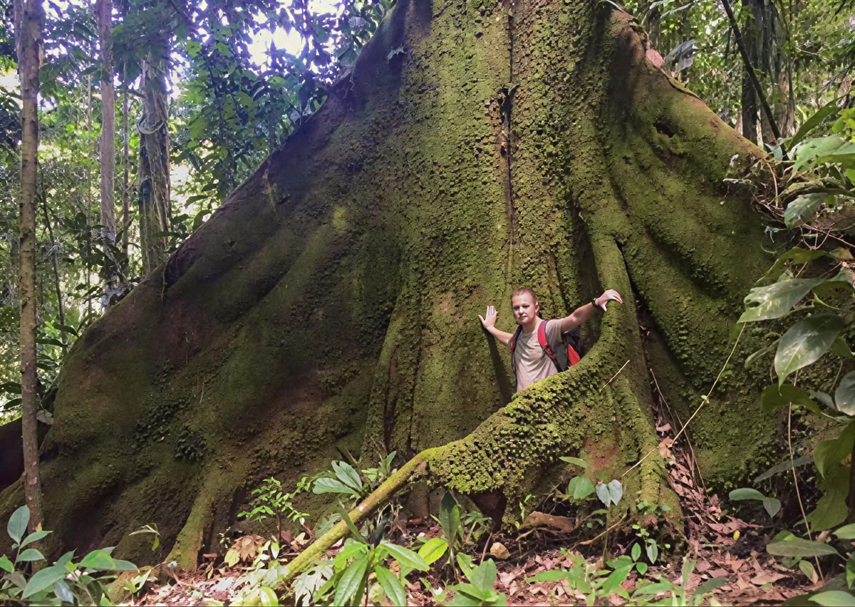Cérémonie d’Ayahuasca en Équateur