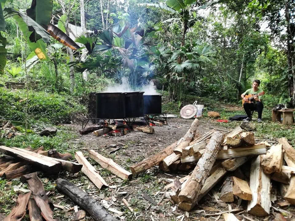 30 jours – Diète d’Ayahuasca et de plantes maîtresses