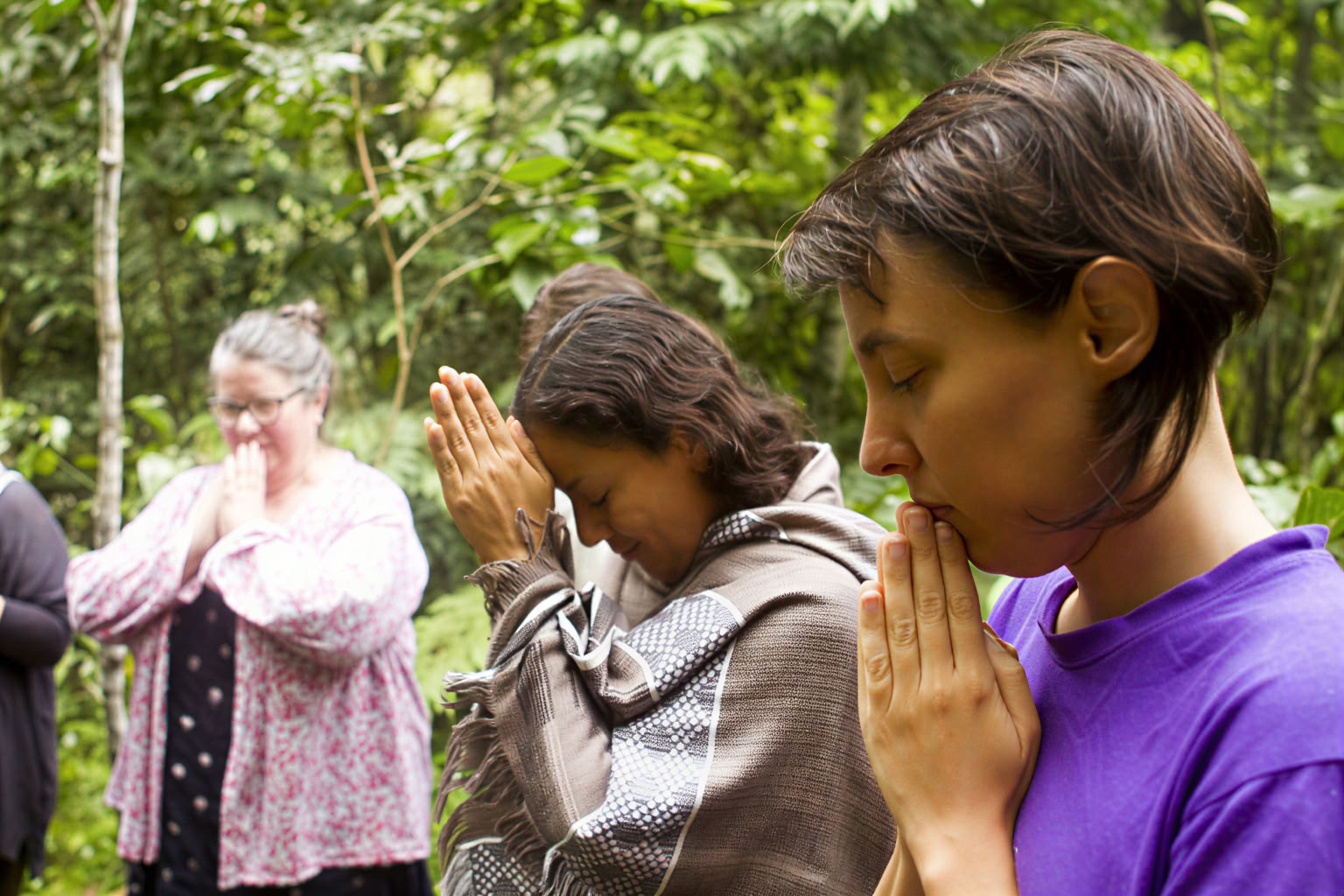 30 jours – Diète d’Ayahuasca et de plantes maîtresses