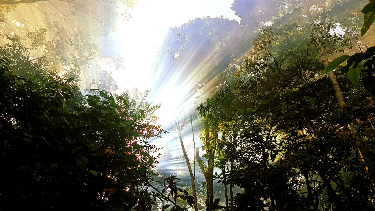 Retraite Ayahuasca et Machu Picchu de 13 jours