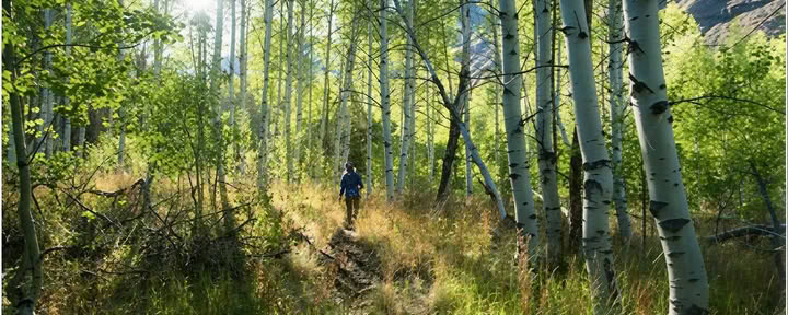 Le cœur de la montagne Sesshin : une retraite de randonnée au Bells Mountain Dharma Center
