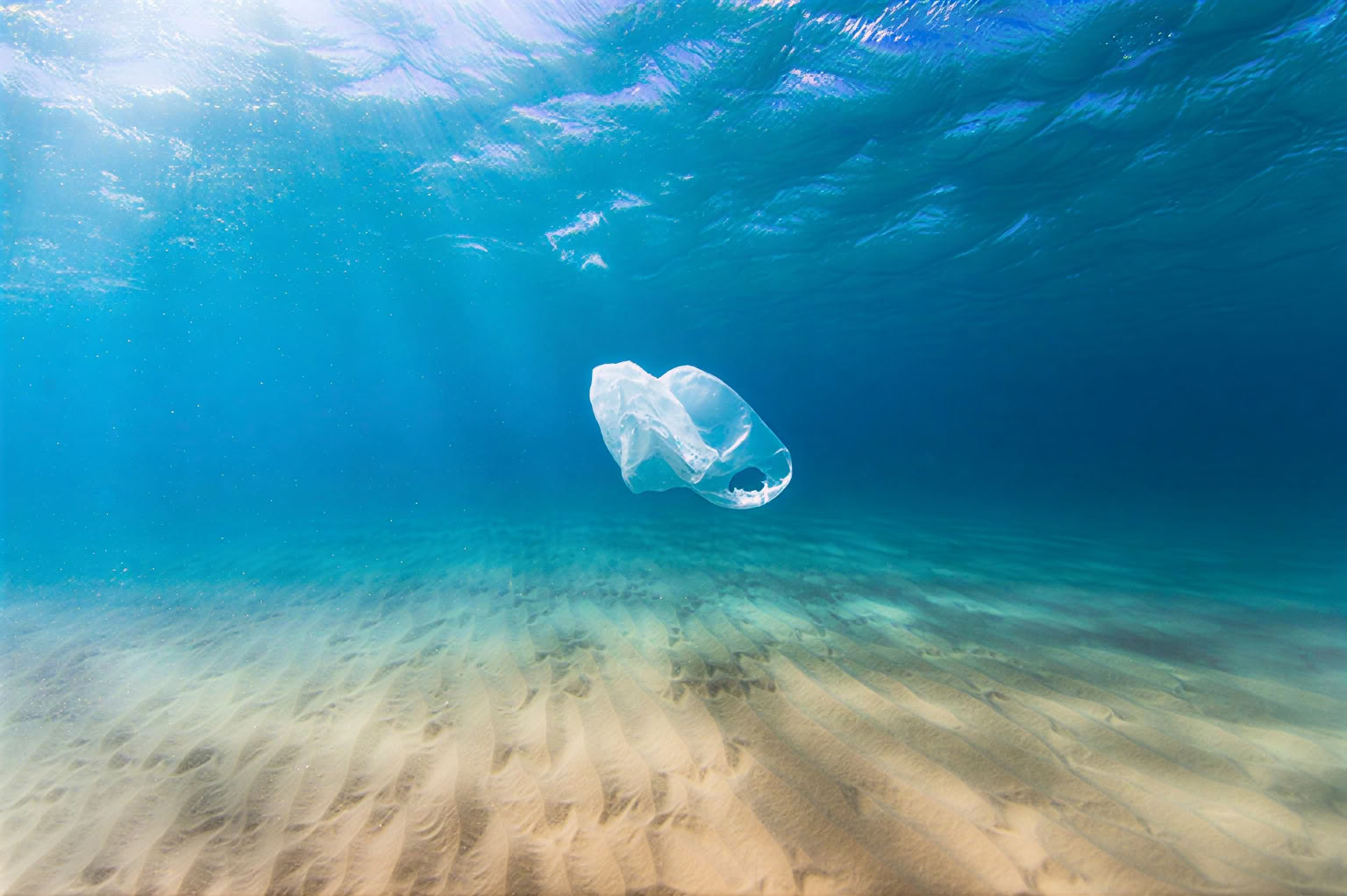 Oceans de Compassion : Une retraite au service de la Terre