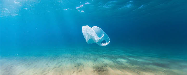 Oceans de Compassion : Une retraite au service de la Terre