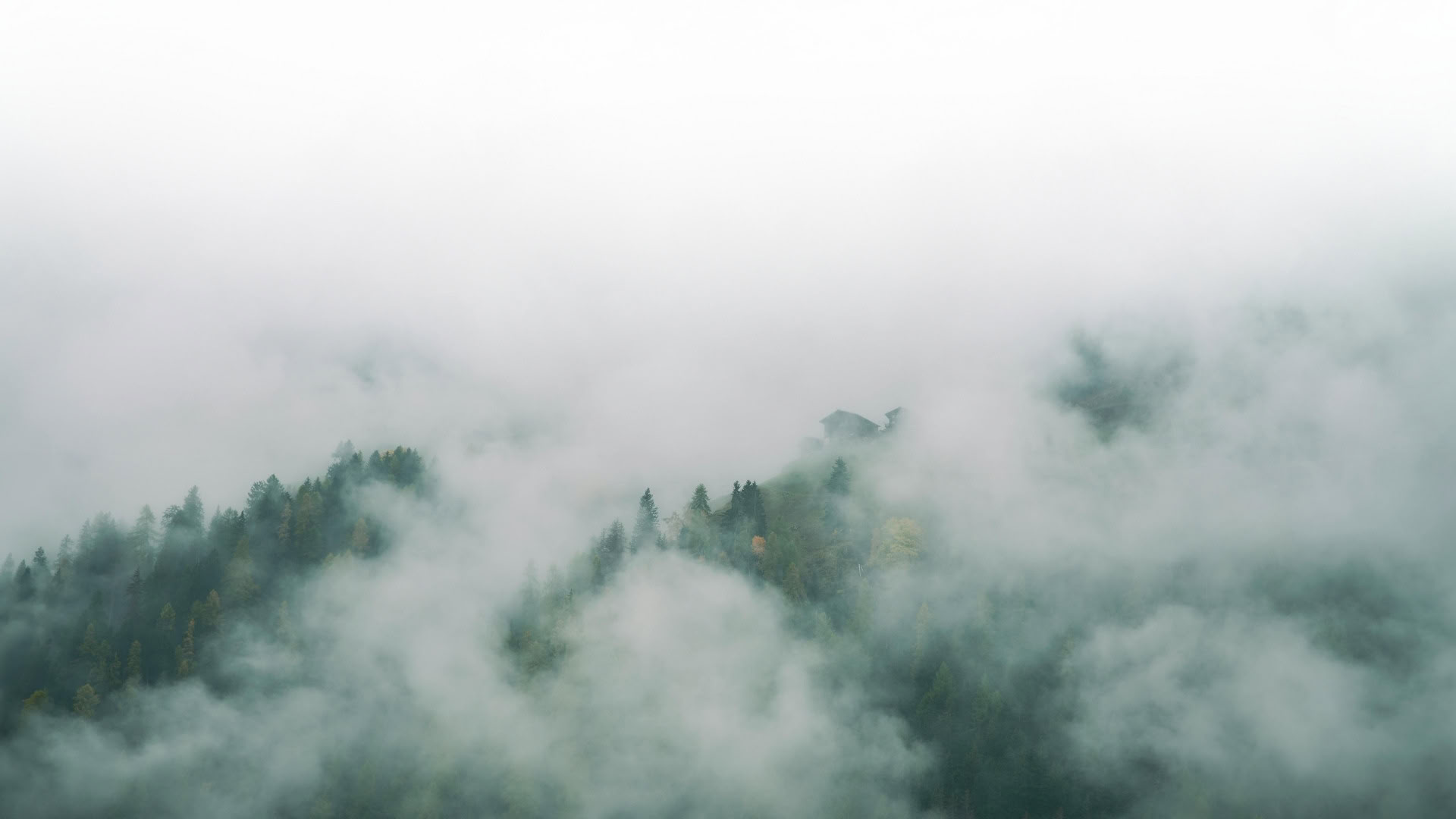 Shamatha Meditation – Matin