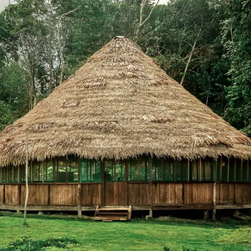 Retraite Ayahuasca Transformation