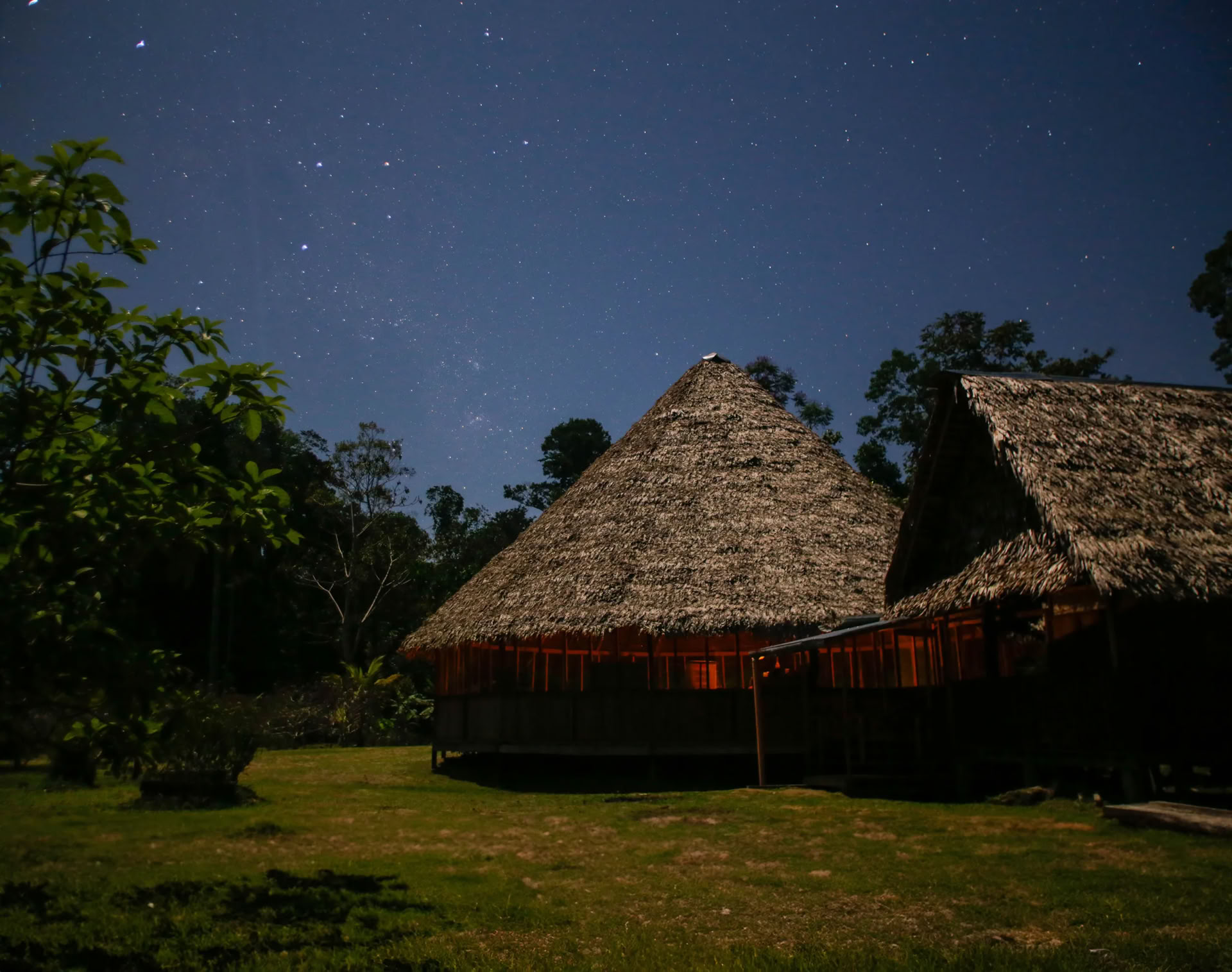 Retraite Ayahuasca Transformation