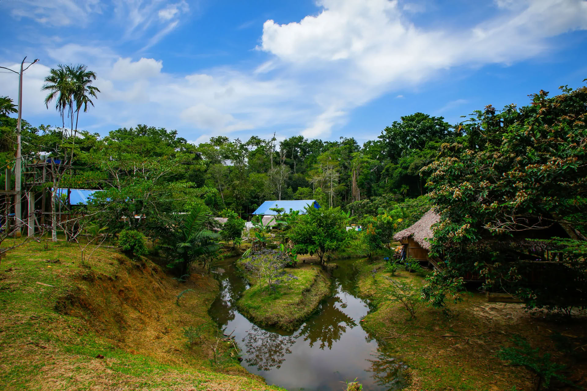 Retraite Ayahuasca Transformation