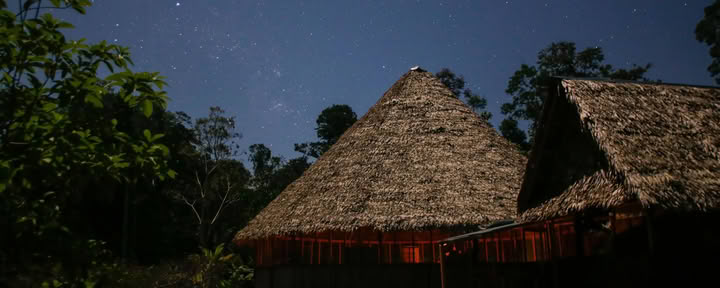 Retraite Ayahuasca Transformation