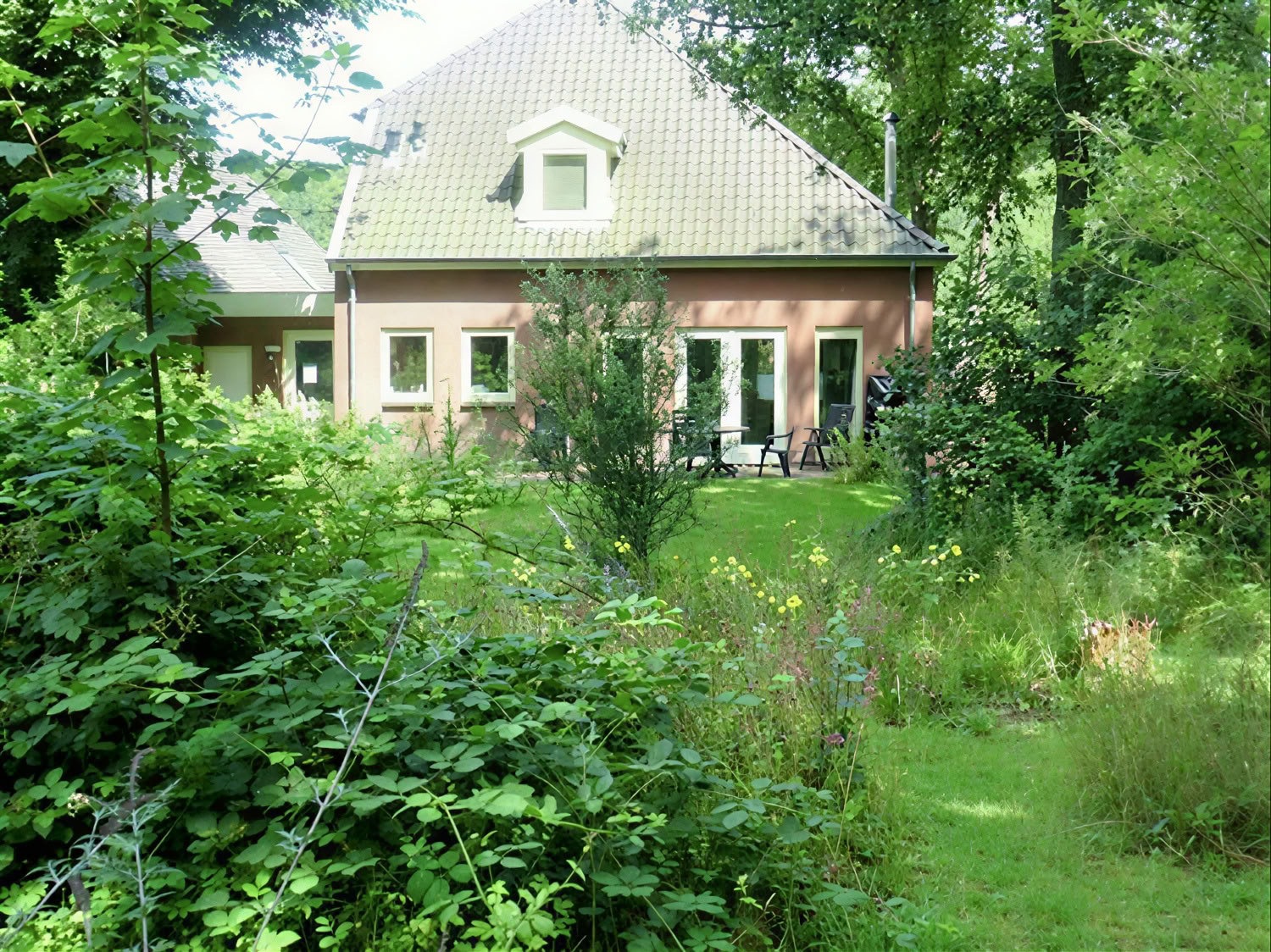 Retraite privée à la psilocybine : 4 jours, 2 séances de psilocybine