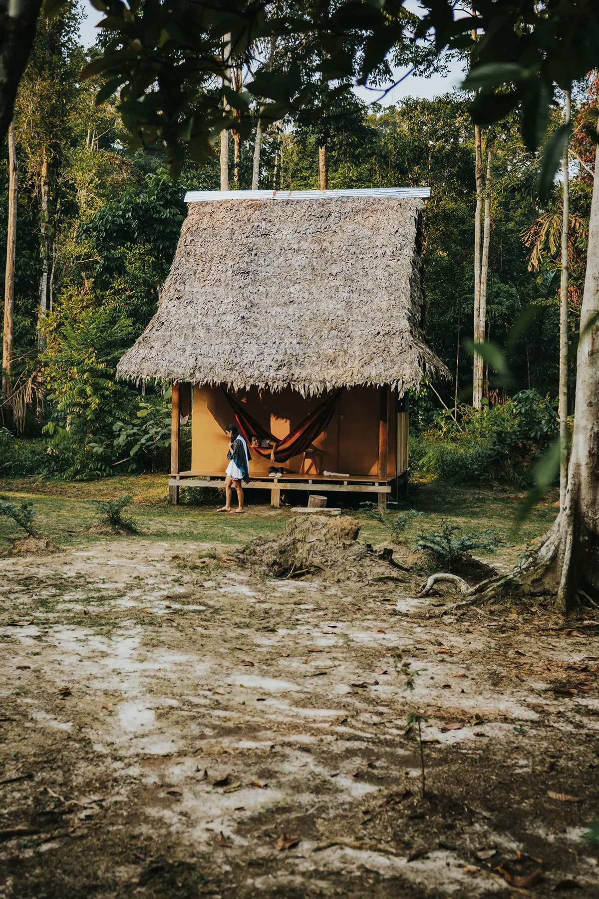 Retraite d'Ayahuasca de 11 jours au Pérou – 31 août - 10 septembre 2026 | Shipibo Healing & Integration