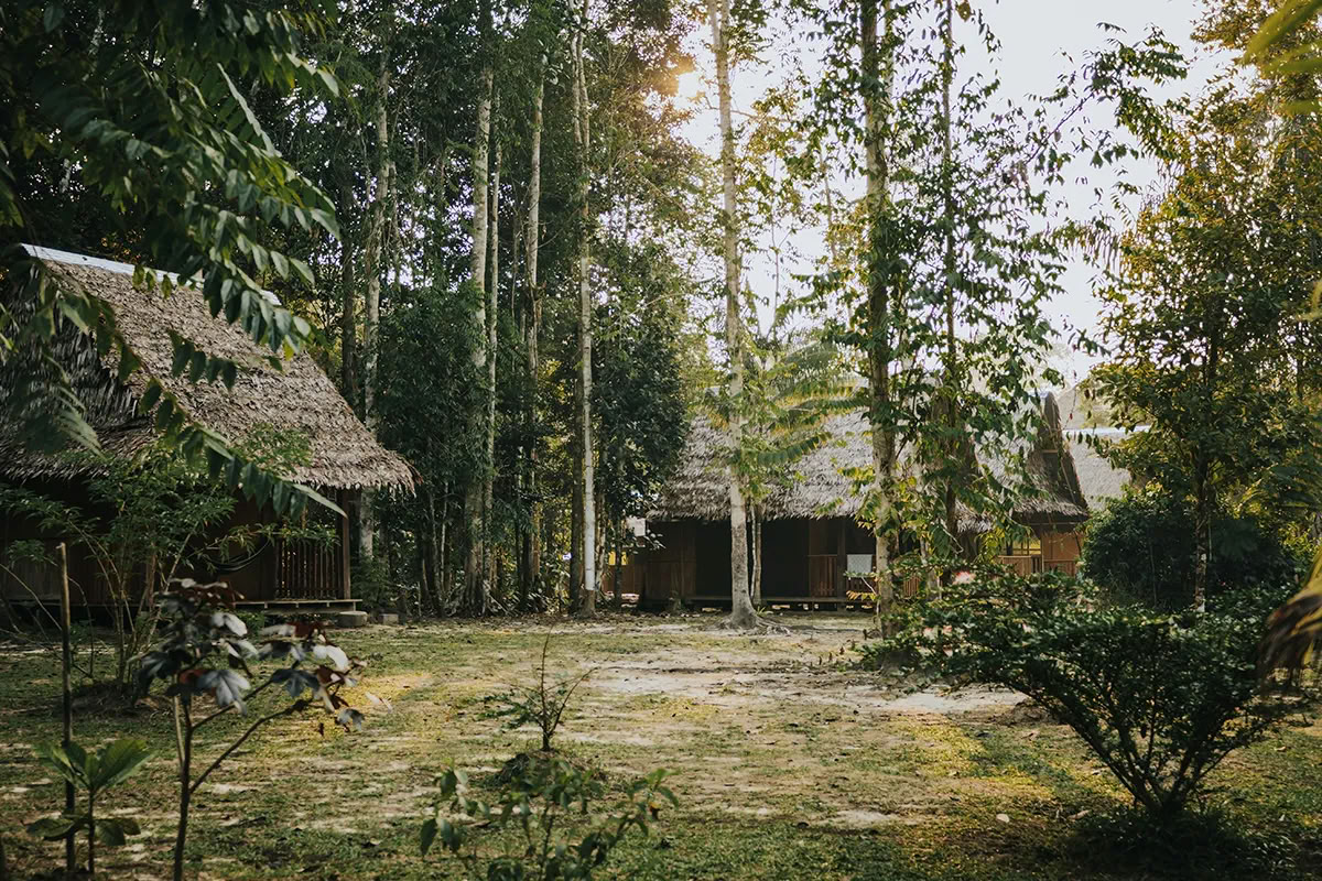 Retraite d'Ayahuasca de 11 jours au Pérou – 31 août - 10 septembre 2026 | Shipibo Healing & Integration