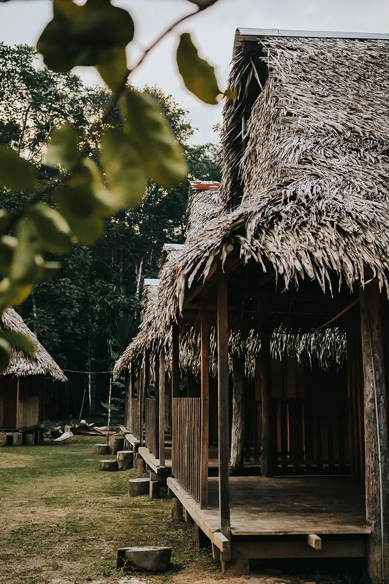 Retraite d'Ayahuasca de 11 jours au Pérou – 31 août - 10 septembre 2026 | Shipibo Healing & Integration