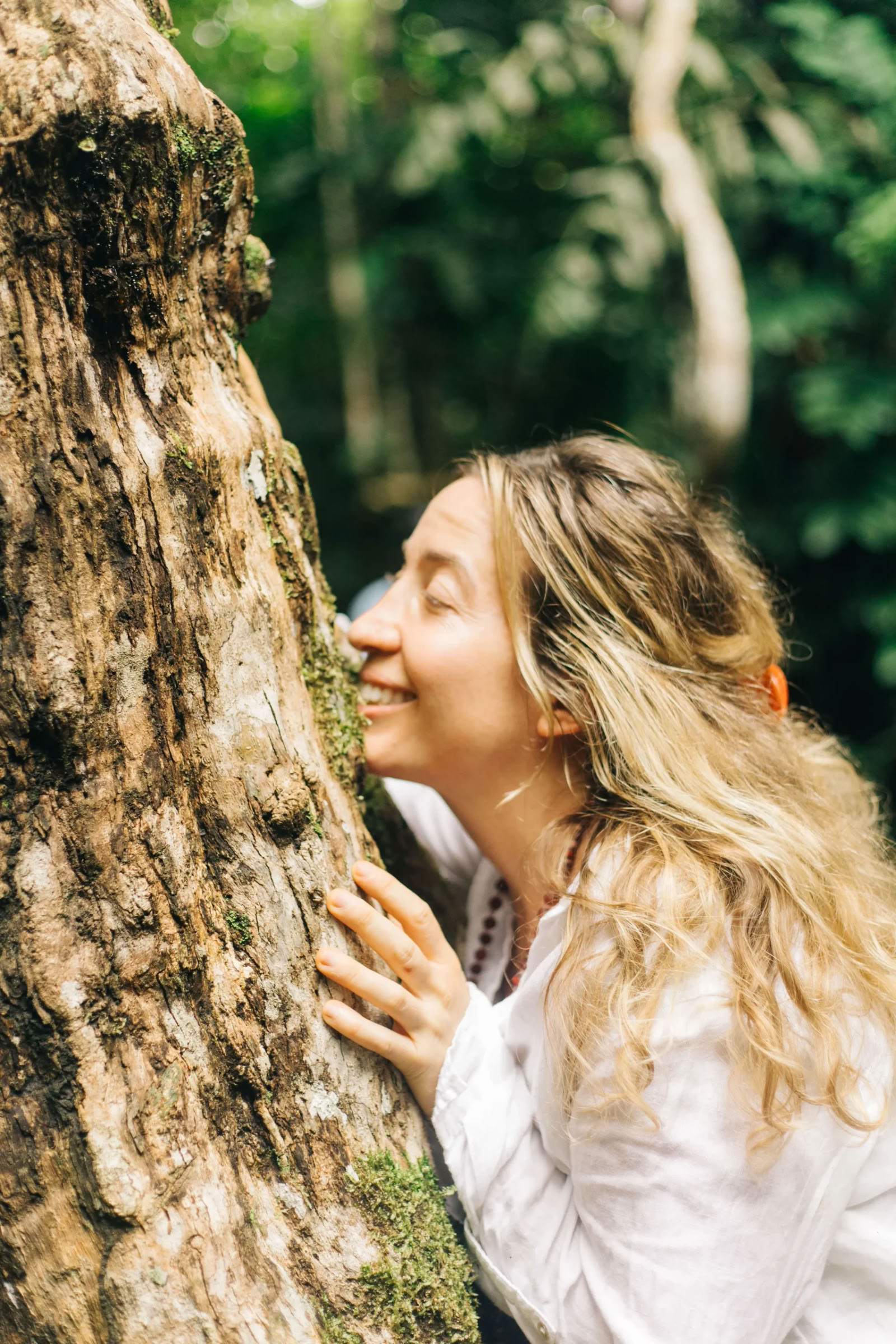 Retraite d'Ayahuasca de 11 jours au Pérou – 31 août - 10 septembre 2026 | Shipibo Healing & Integration