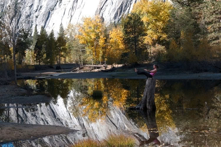 Roots de la Résilience : Yoga & Le Travail qui Reconnecte