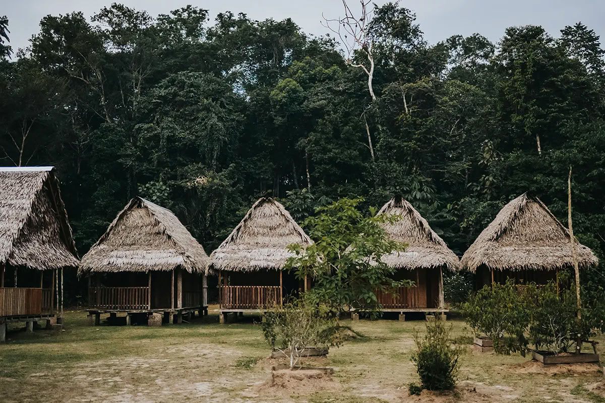 Retraite d'ayahuasca de 11 jours au Pérou – 18 - 28 septembre 2026 | Shipibo Healing & Integration