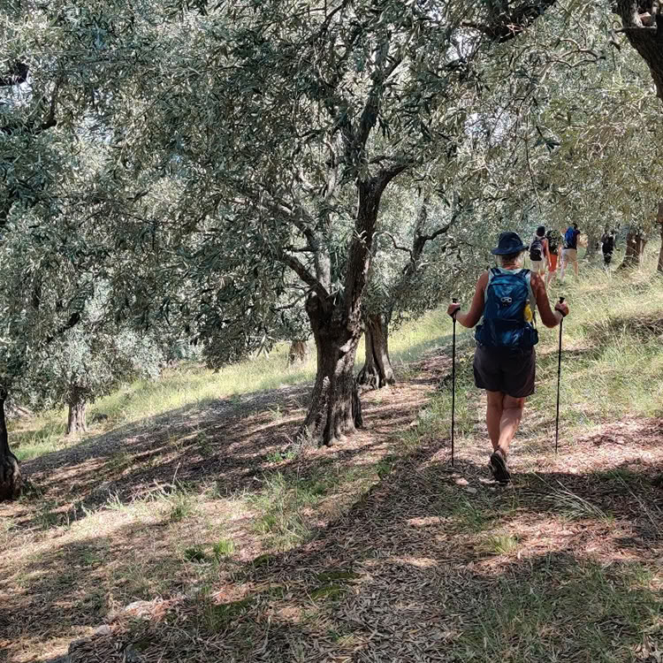Vacances de marche et de baignade guidées