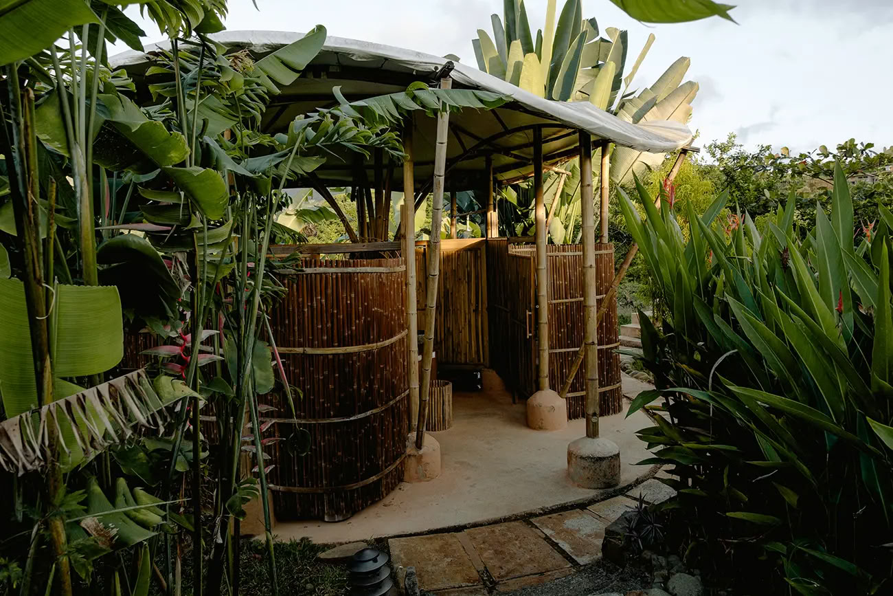 Retraite Ayahuasca de 7 nuits