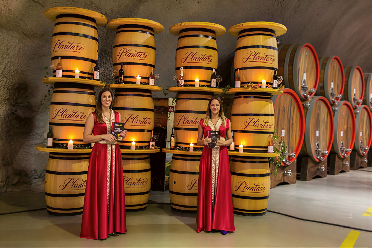 Visite des vins traditionnelle et moderne mixte