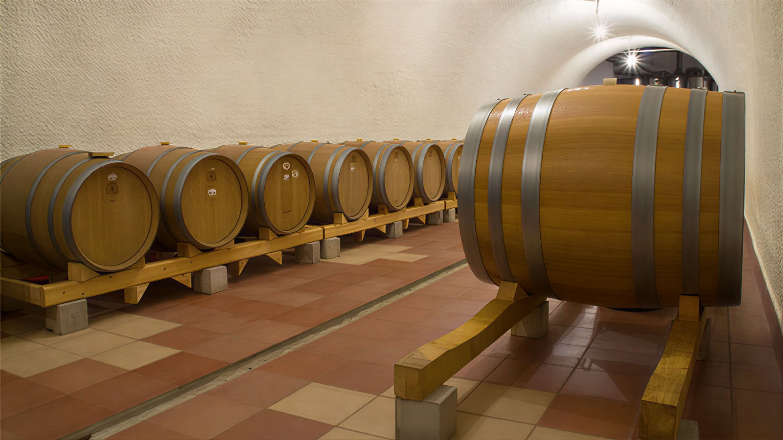 Visite des vins traditionnelle et moderne mixte
