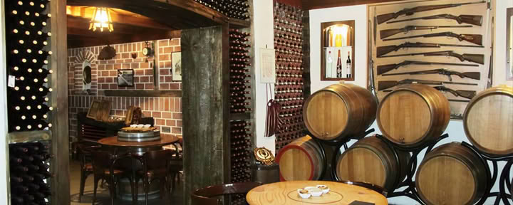 Visite des vins traditionnelle et moderne mixte