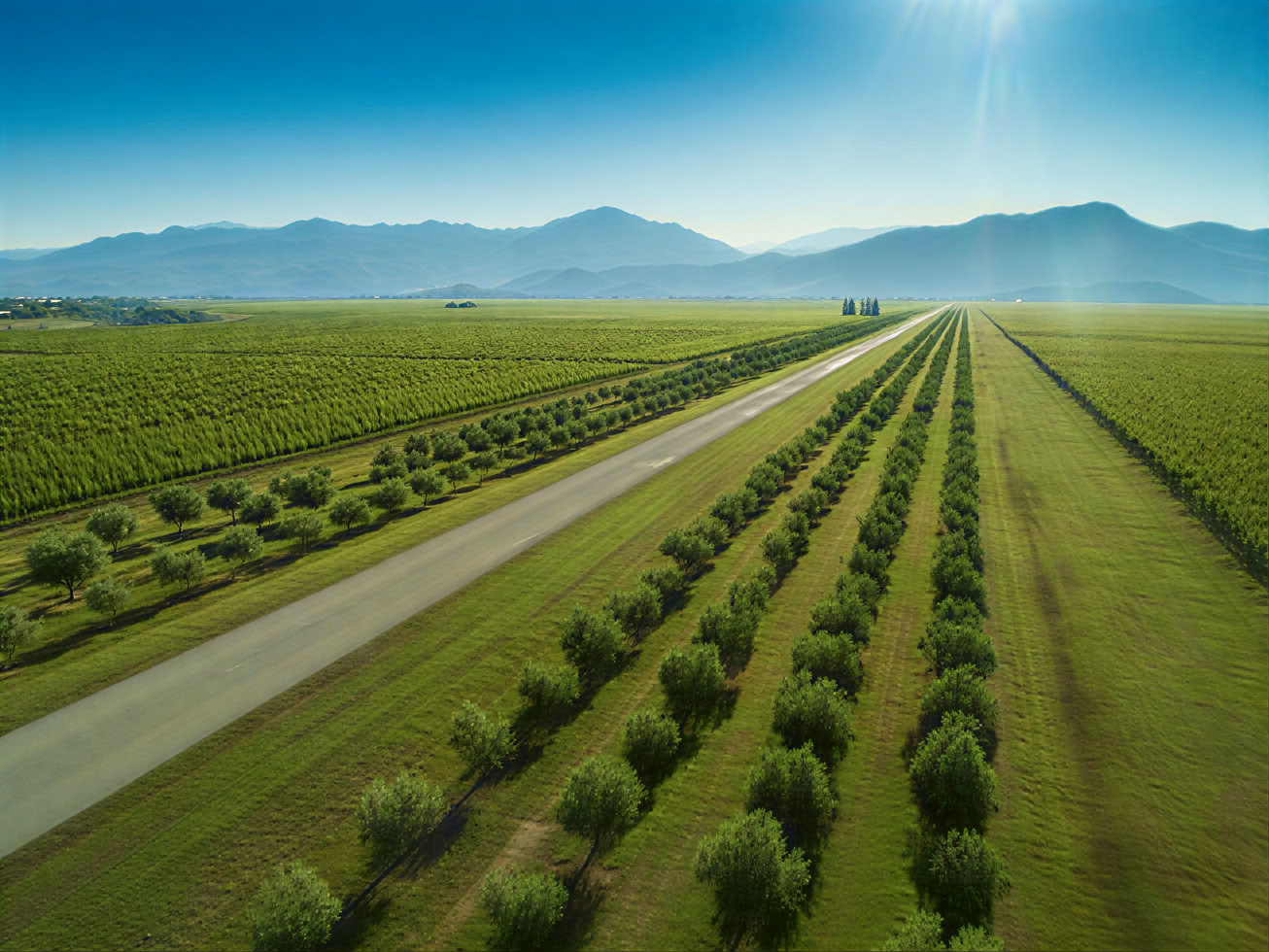 Tour de la route des vins du Monténégro