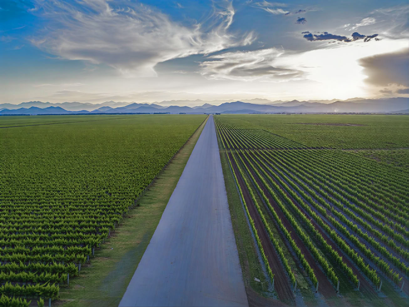 Tour de la route des vins du Monténégro