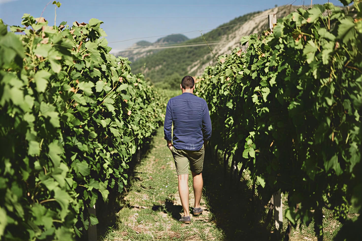 Tour de la route des vins du Monténégro