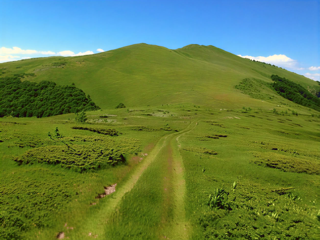 Randonnée sur le mont Bjelasica
