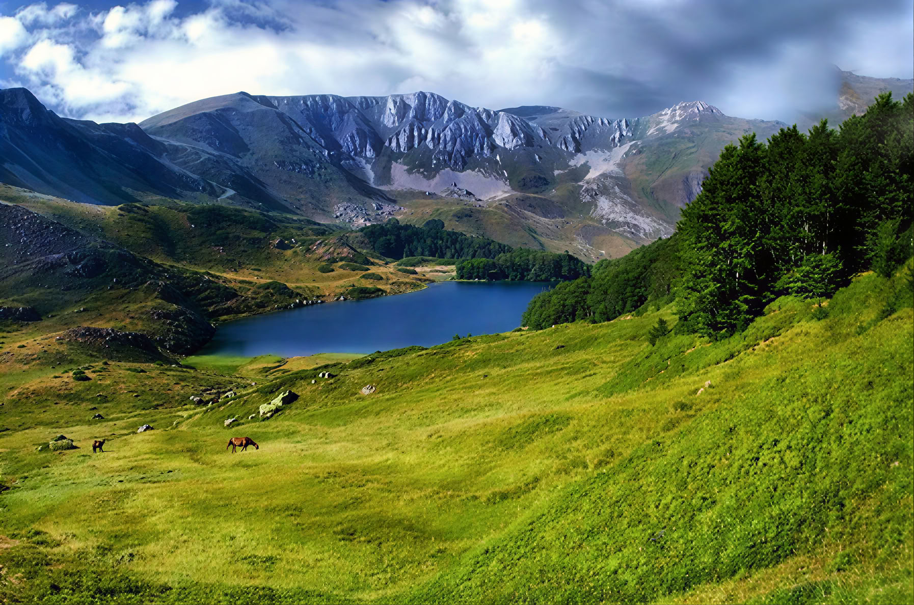 Randonnée sur le mont Bjelasica
