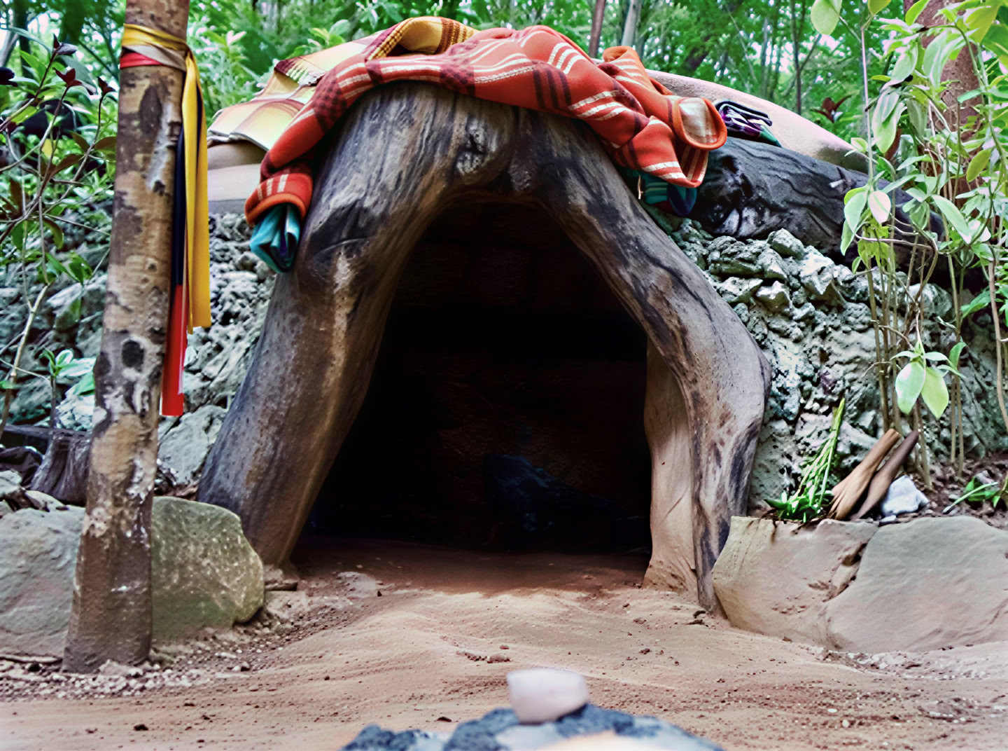 Retraite Ayahuasca, Mexique