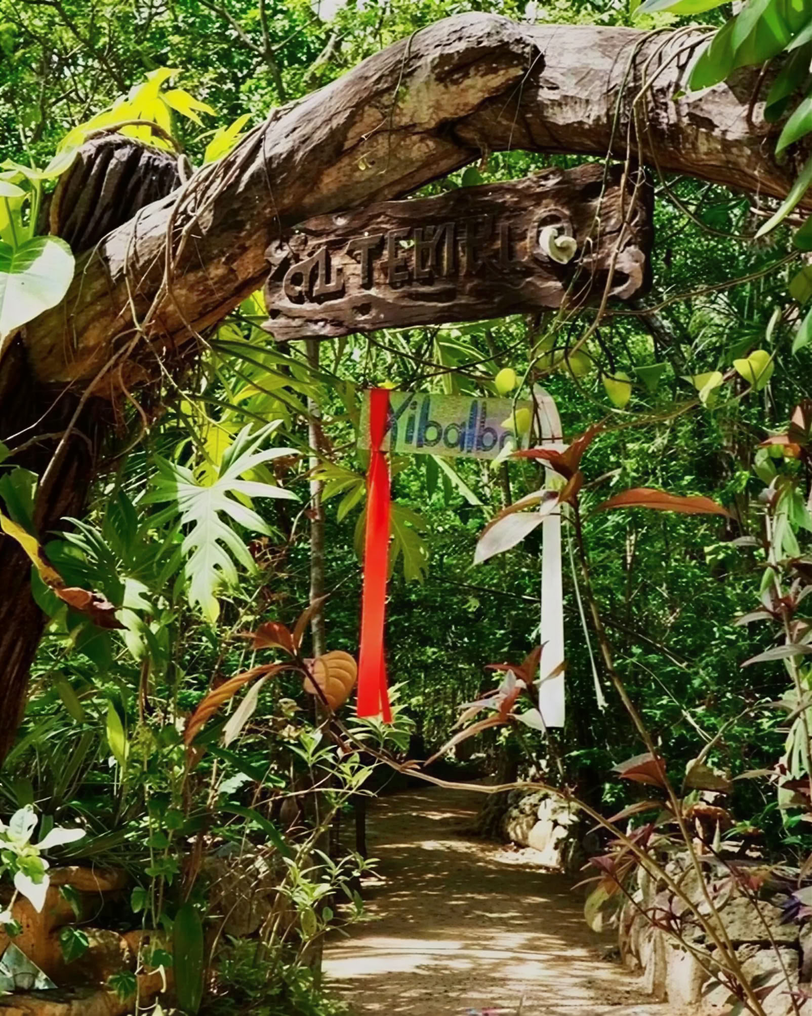 Retraite Ayahuasca, Mexique