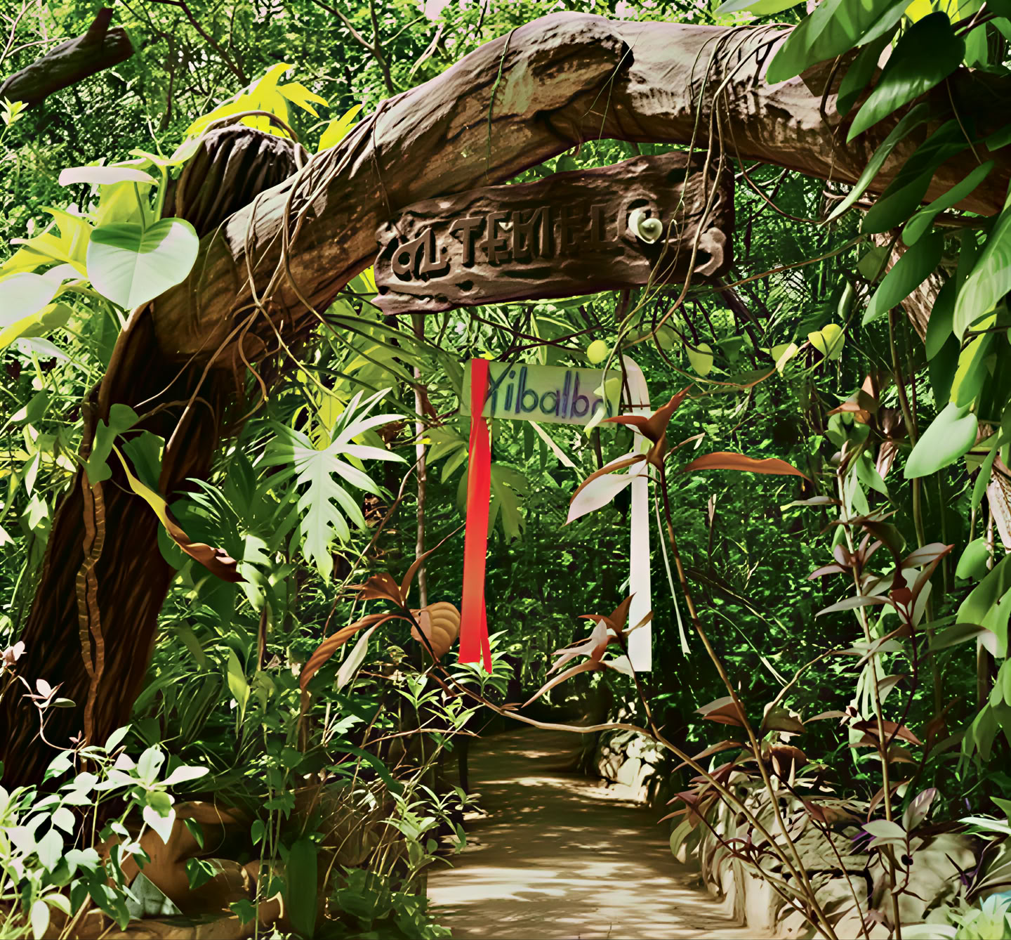 Retraite Ayahuasca, Mexique