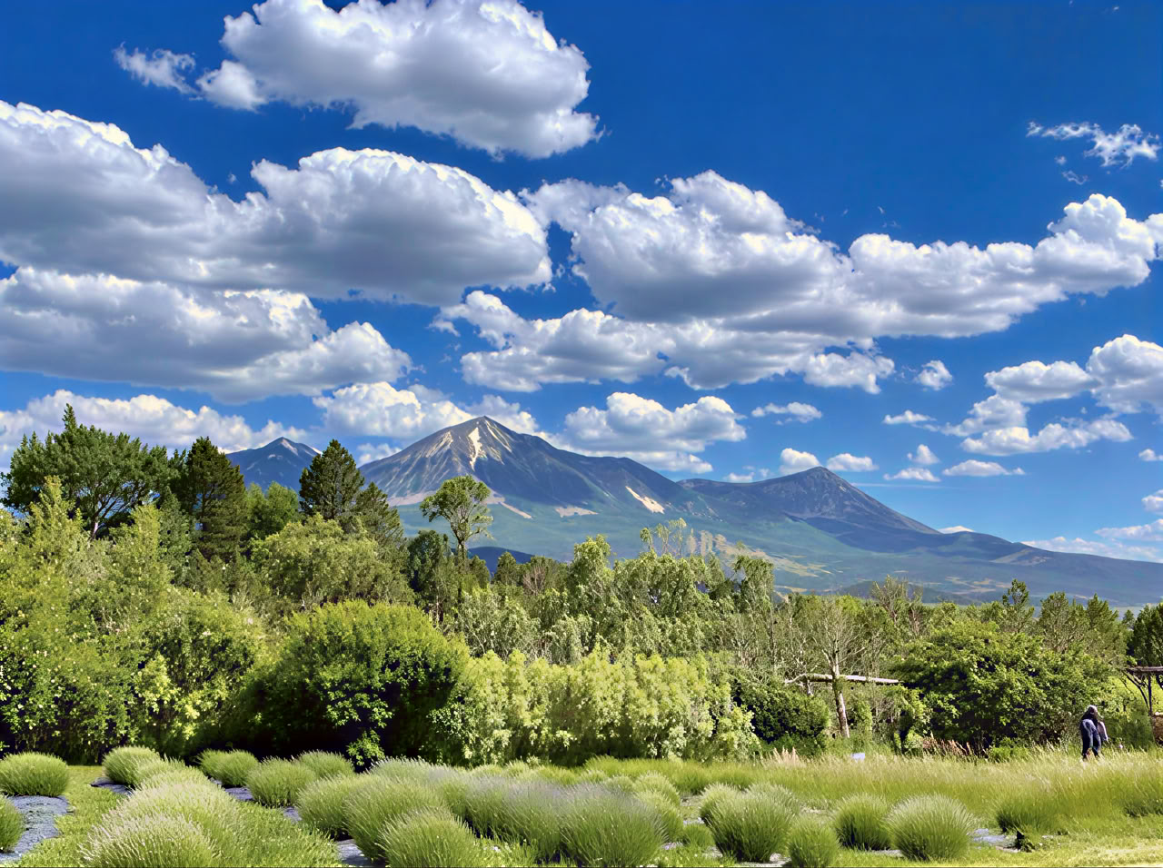 Retraite Breathwork Colorado