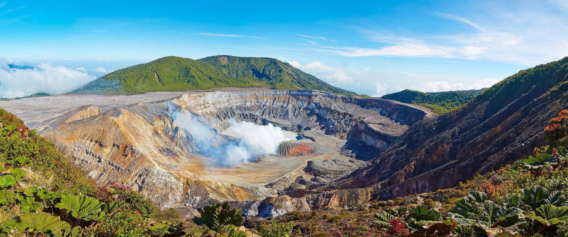 Combo Tour : Parc national du volcan Poás – Visite du café Doka – Jardins des cascades de La Paz
