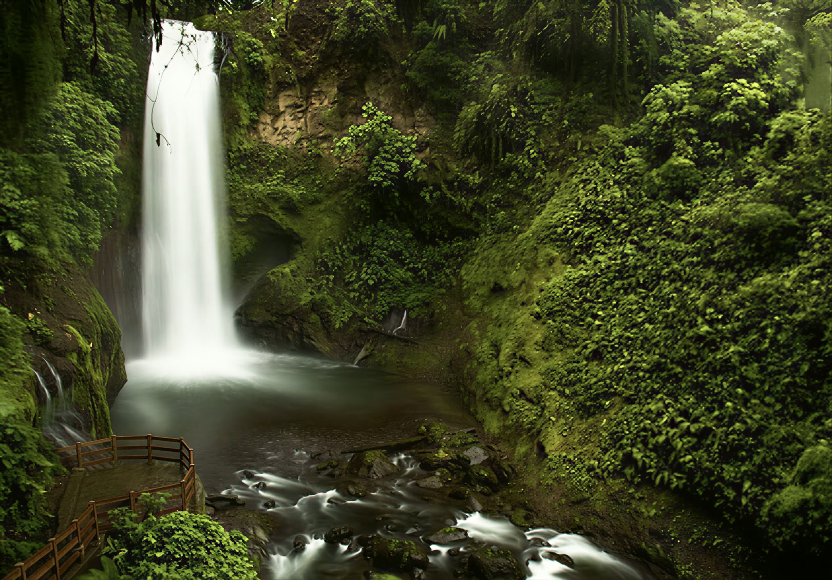 Combo Tour : Parc national du volcan Poás – Visite du café Doka – Jardins des cascades de La Paz