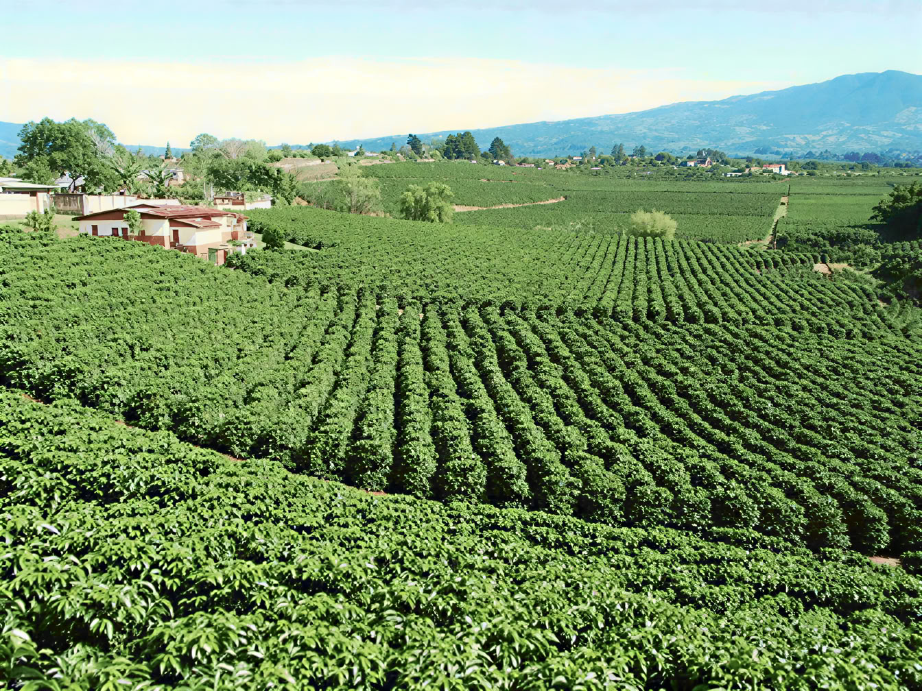 Combo Tour : Parc national du volcan Poás – Visite du café Doka – Jardins des cascades de La Paz