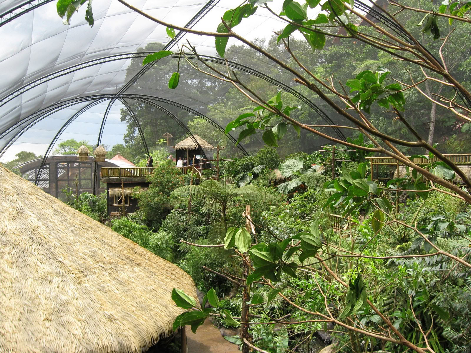 Combo Tour : Parc national du volcan Poás – Visite du café Doka – Jardins des cascades de La Paz